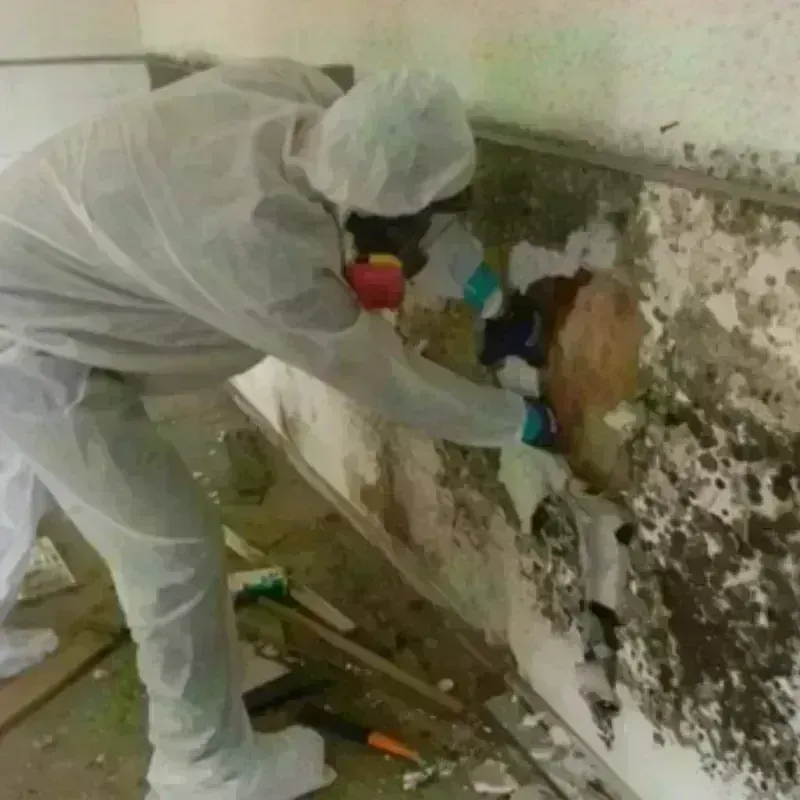 Mold Remediation and Removal in Chambersburg, PA